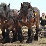 Thomas Carlsson - @breavad - Instagram