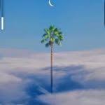 Thomas Carman - @tomzacarman - Instagram