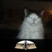 Thomas Carman - Facebook