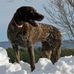 Thomas Carper - Facebook