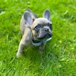 Walter McCarrick-Thomas - @wallymccarrickthomas - Instagram