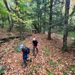 @thomas.carron72 - Instagram