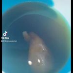 Thomas Carron Christopher - @thomas.carron.750 - Instagram