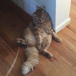 Leo Thomas Casavant - @leo_t._c - Instagram