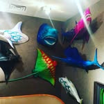 ThomasCasciato - @thomascasciato - Instagram