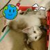 Thomas Casillas - Facebook