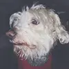 Thomas Cassady - @thomas.cassady - TikTok