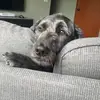 Thomas_Cassady - @tommy_cassady - TikTok