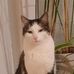 Thomas Castello - Facebook