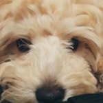 Thomas Castonguay - @thom_cas_14 - Instagram