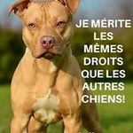 Thomas Castonguay - @thomas.castonguay.1 - Instagram