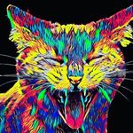 Thomas Caswell - @thomas_caswell4632 - Instagram
