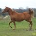 Tom Cates - Facebook