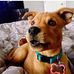 Thomas Cathey - Facebook