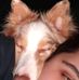 Thomas Chabot - Facebook