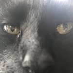 Thomas Chagnon - @chagnon6155 - Instagram