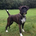 T chalmers - @thomaschalmers3606 - Instagram