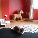 Thomas Chalmers - @chalmers.thomas - Instagram