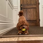 Thomas Chalmers - @ttown163 - Instagram