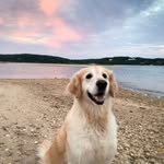 Thomas Charette - @tmttc - Instagram