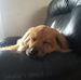 Thomas Chartier - Facebook