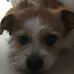 Tom Chatfield - Facebook