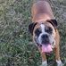 Thomas Cheeks - Facebook