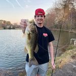 Thomas Chipman - @thomas_chipman - Instagram