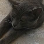 Thomas Cieslak - @cieslak.thomas - Instagram