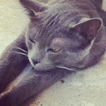 Thomas Cieslak - @cieslakthomas - Instagram
