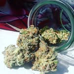 thomasclackson - @thomasclackson3 - Instagram