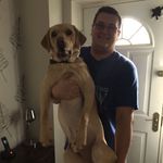 Thomas Clapham - @tippy1503 - Instagram