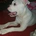 Thomas Clapp - Facebook