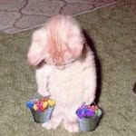 Thomas claps - @clampsthomas - Instagram