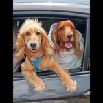 Thomas clare - @thomas47972 - Instagram