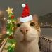 Thomas Clinch - Facebook