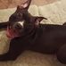 Dobby Thomas-Claxton - Facebook