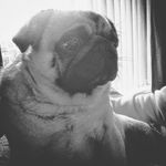 thomas-paul-claxton - @_t.claxt0n_ - Instagram