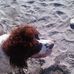 Thomas Claydon - Facebook
