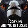 thomas_claydon - @thomas_claydon - TikTok