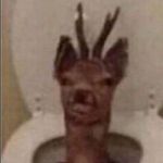 Thomas Christian Clelland - @unknown_entity2424 - Instagram