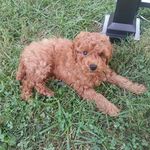 Hudson Thomas Clerkin - @hudson_clerkin - Instagram