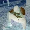 Clever Thomas - @clever.thomas - TikTok