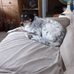 Thomas Clever - Facebook