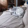 thomasclever5682 - @thomasclever5682 - TikTok