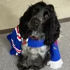 thomas_close - @thomas_close5 - TikTok