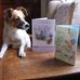 Tom Codd - Facebook
