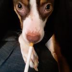 Thomas Cogdell - @cogdell_thomas - Instagram