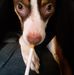 Thomas Cogdell - Facebook