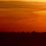 Thomas_Coley - @thomas_coleyq - Instagram